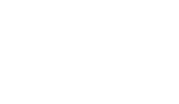 Constellation Brands Logo
