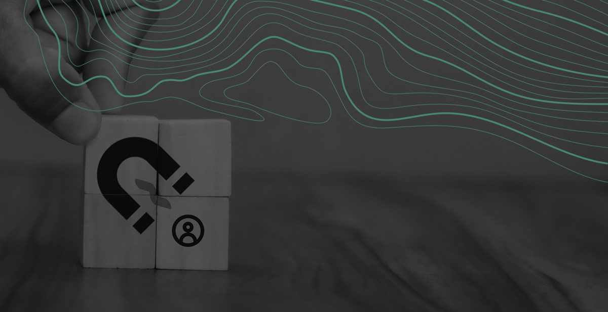 Concept of attracting leads