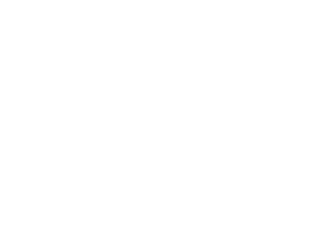 Ricochet Logo