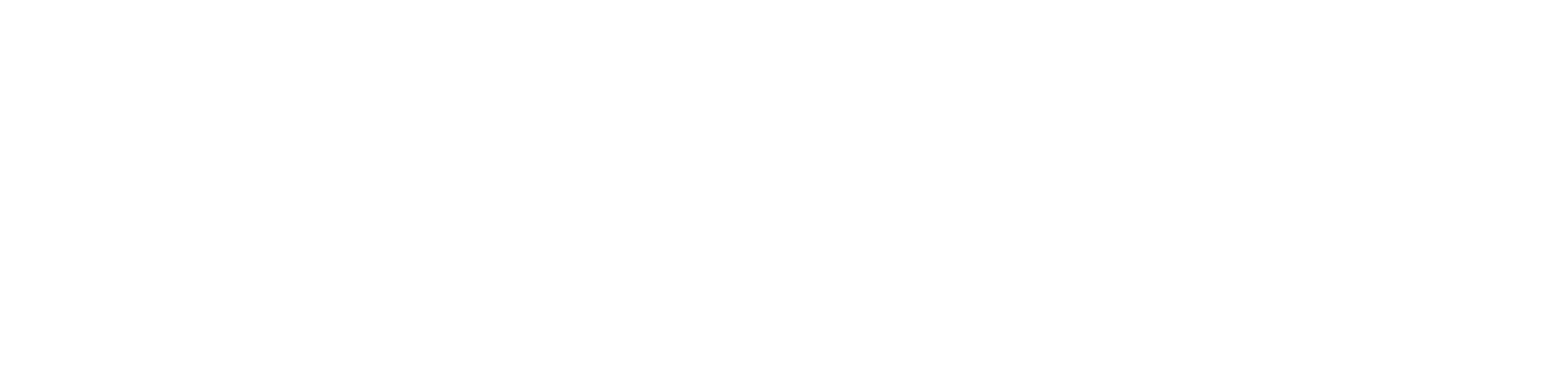 US Signal Logo